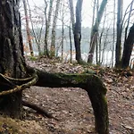 База отдыха Martas Gaestehaeuser Gross Vaeter *