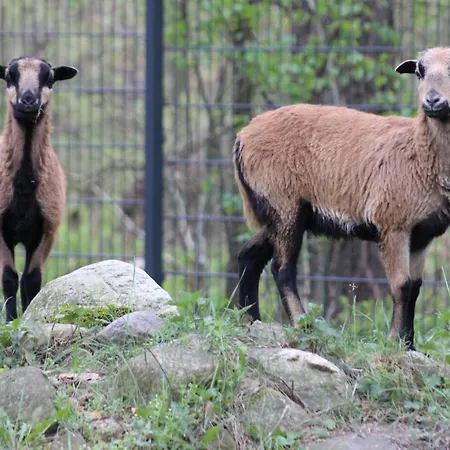 Martas Gaestehaeuser Gross Vaeter Kompleks wypoczynkowy Templin