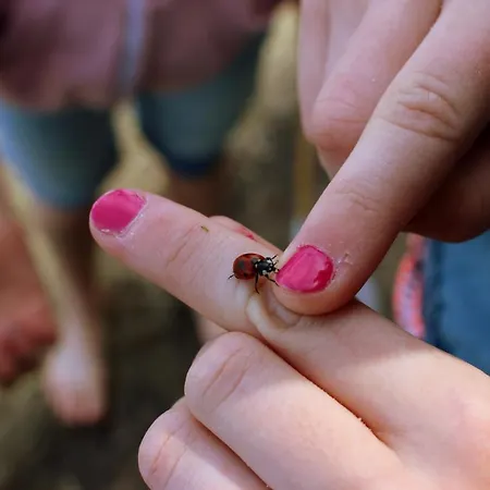 Martas Gaestehaeuser Gross Vaeter * 템플린