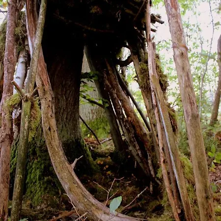 Martas Gaestehaeuser Gross Vaeter * 템플린