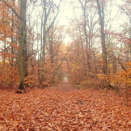 Martas Gaestehaeuser Gross Vaeter 템플린