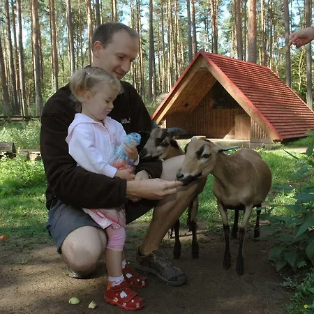 Martas Gaestehaeuser Gross Vaeter 홀리데이파크 *