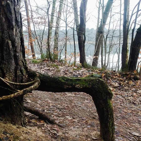 홀리데이파크 Martas Gaestehaeuser Gross Vaeter *