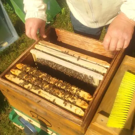 Martas Gaestehaeuser Gross Vaeter *