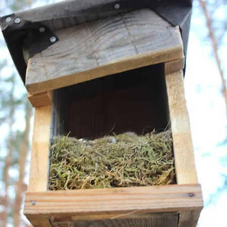 Kompleks wypoczynkowy Martas Gaestehaeuser Gross Vaeter Templin