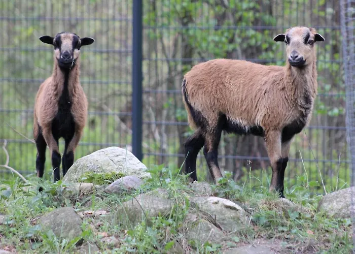 Martas Gaestehaeuser Gross Vaeter ホリデーパーク テンプリーン