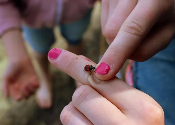 Martas Gaestehaeuser Gross Vaeter * Templin