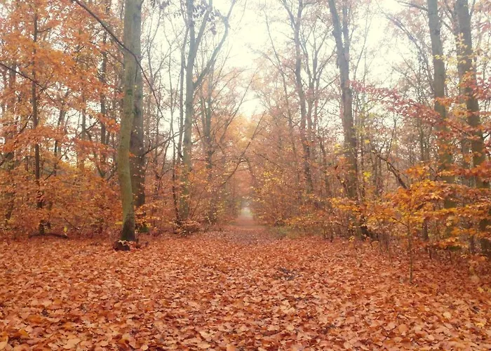 Martas Gaestehaeuser Gross Vaeter Templin