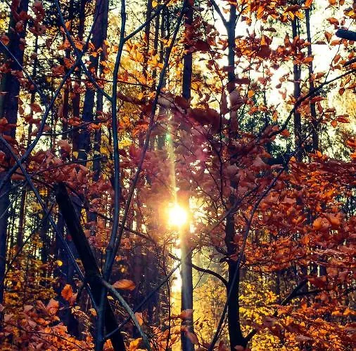 Martas Gaestehaeuser Gross Vaeter 滕普林