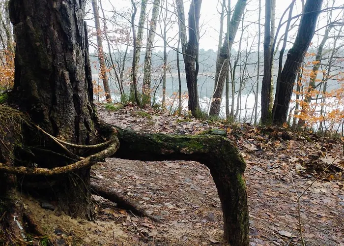 Feriepark Martas Gaestehaeuser Gross Vaeter *