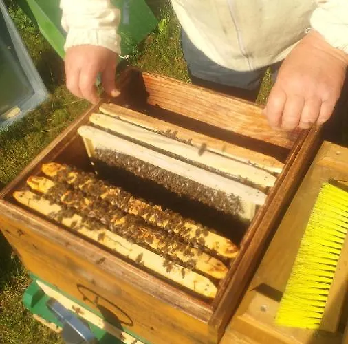 Martas Gaestehaeuser Gross Vaeter *