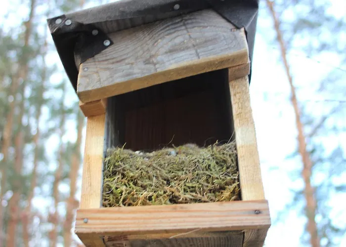 ホリデーパーク Martas Gaestehaeuser Gross Vaeter テンプリーン